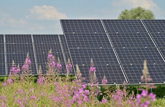 Aboitiz Renewables